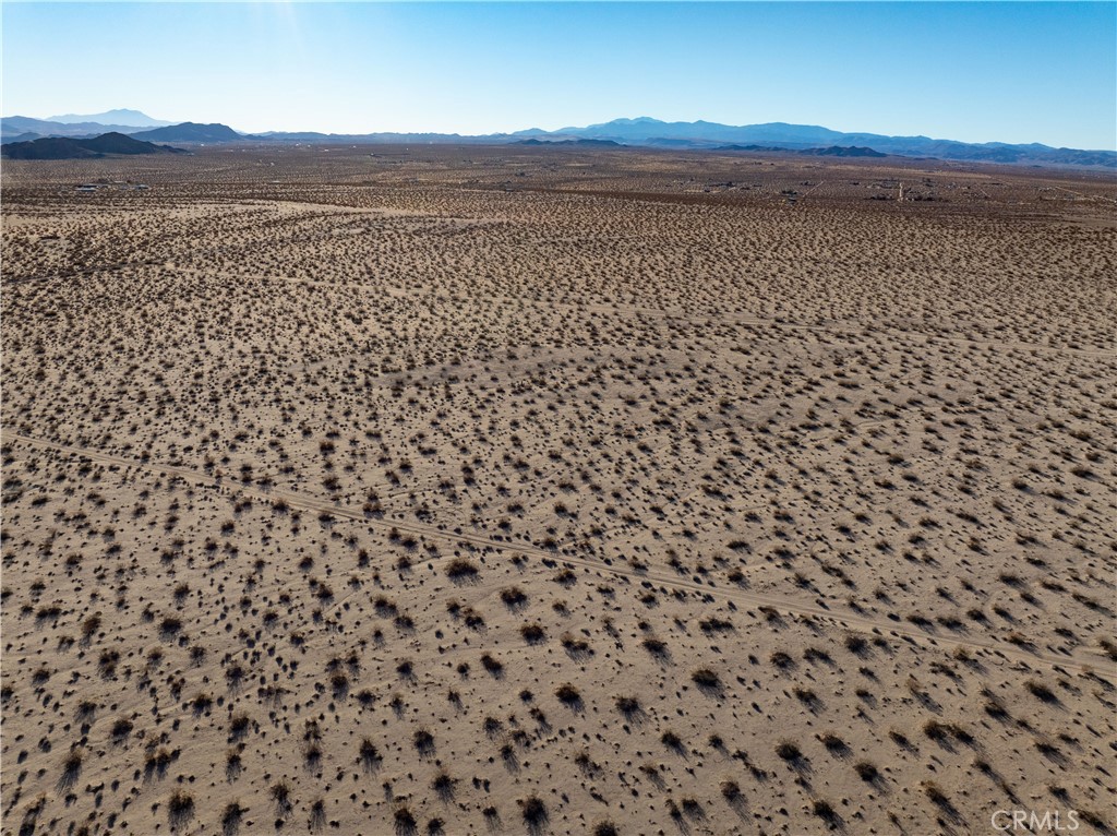 MLS #JT25029694 image #3