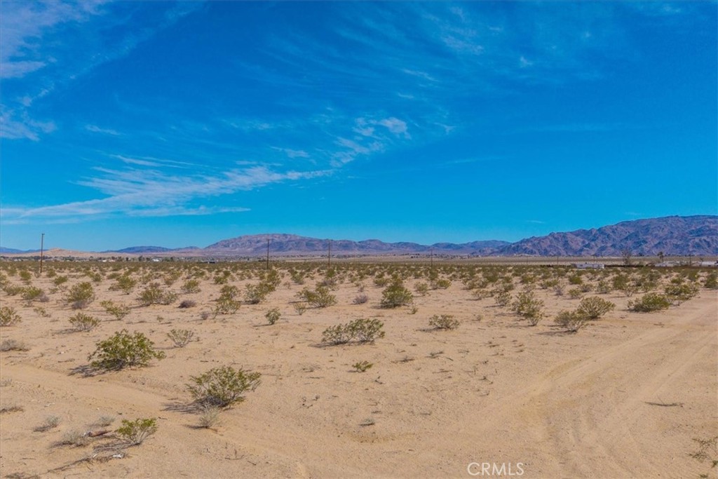 MLS #JT25029805 image #1