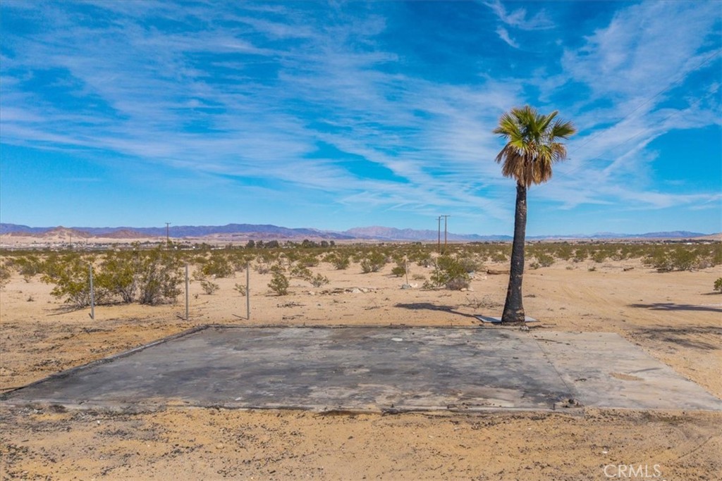 MLS #JT25029805 image #12