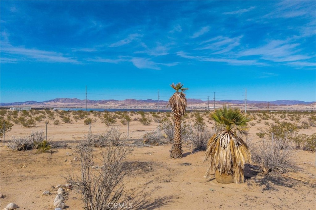 MLS #JT25029805 image #13