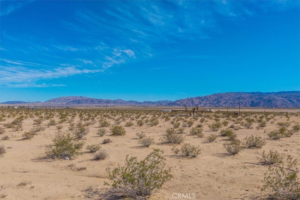 MLS #JT25029805 image #15