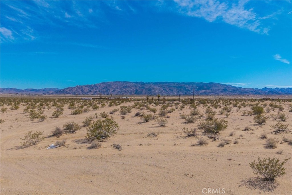 MLS #JT25029805 image #17