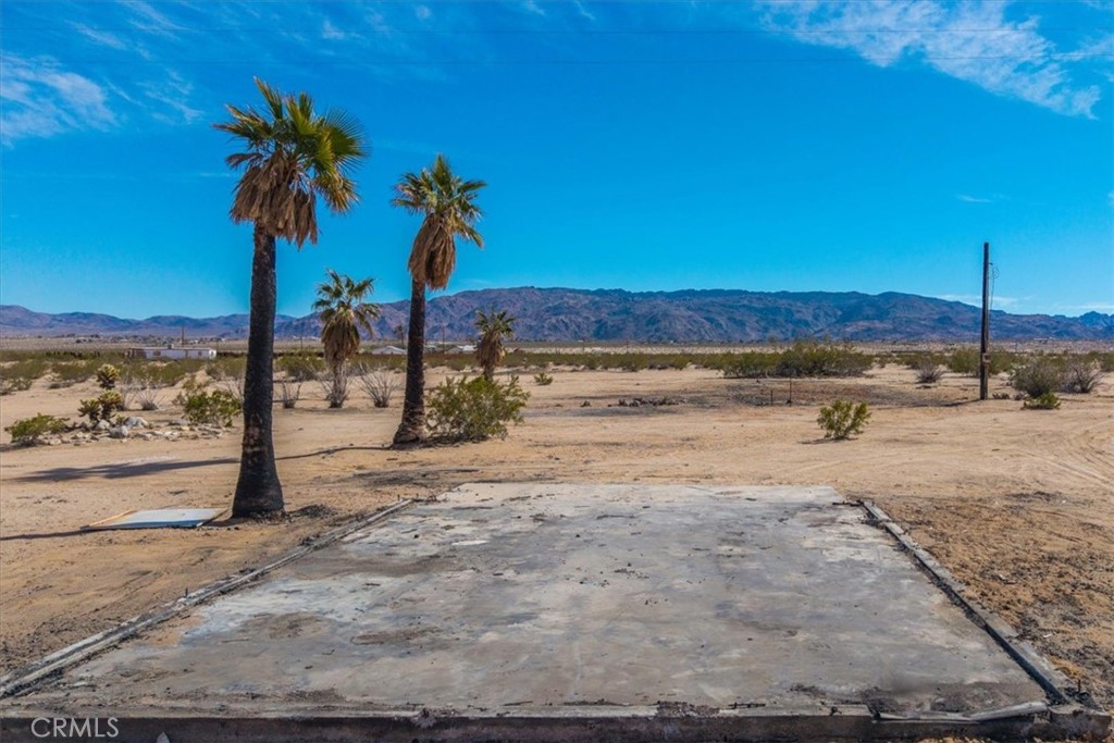 MLS #JT25029805 image #22