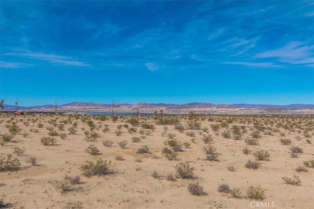 MLS #JT25029805 image #25