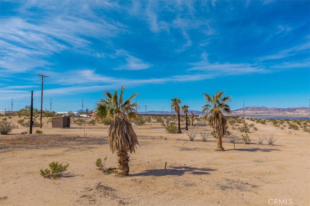 MLS #JT25029805 image #29