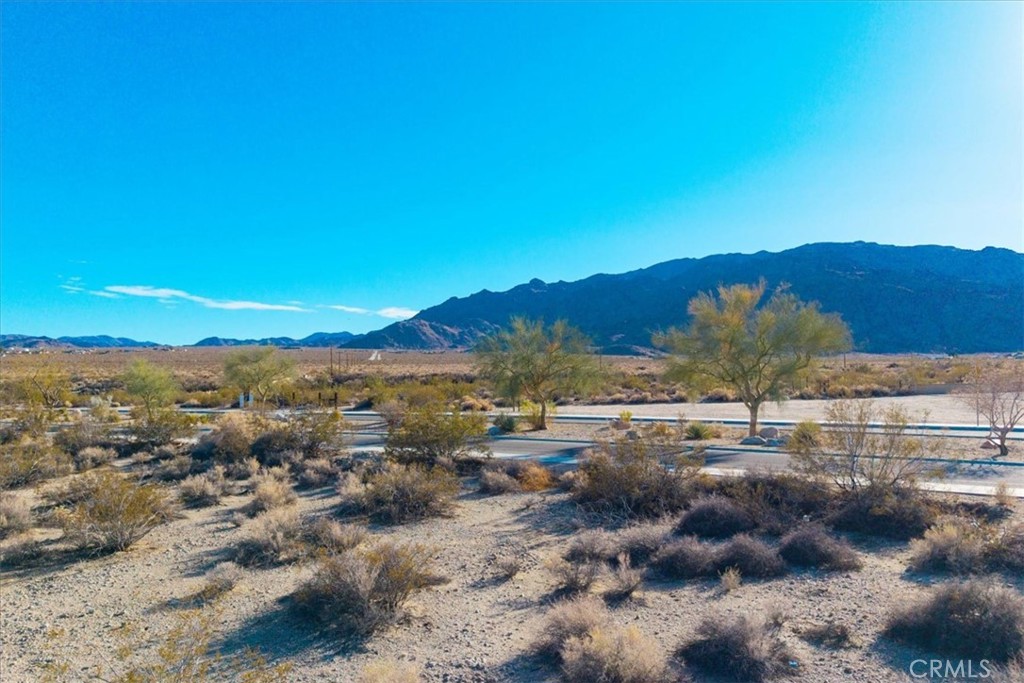 MLS #JT25030363 image #7