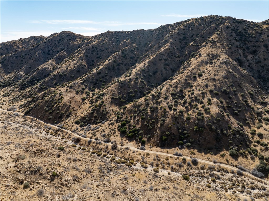 MLS #JT25031182 image #10