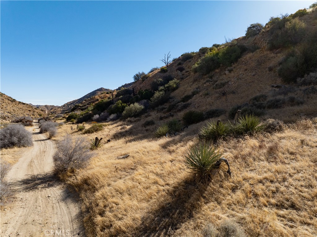 MLS #JT25031182 image #11