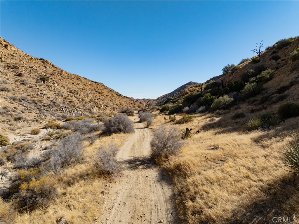 MLS #JT25031182 image #2