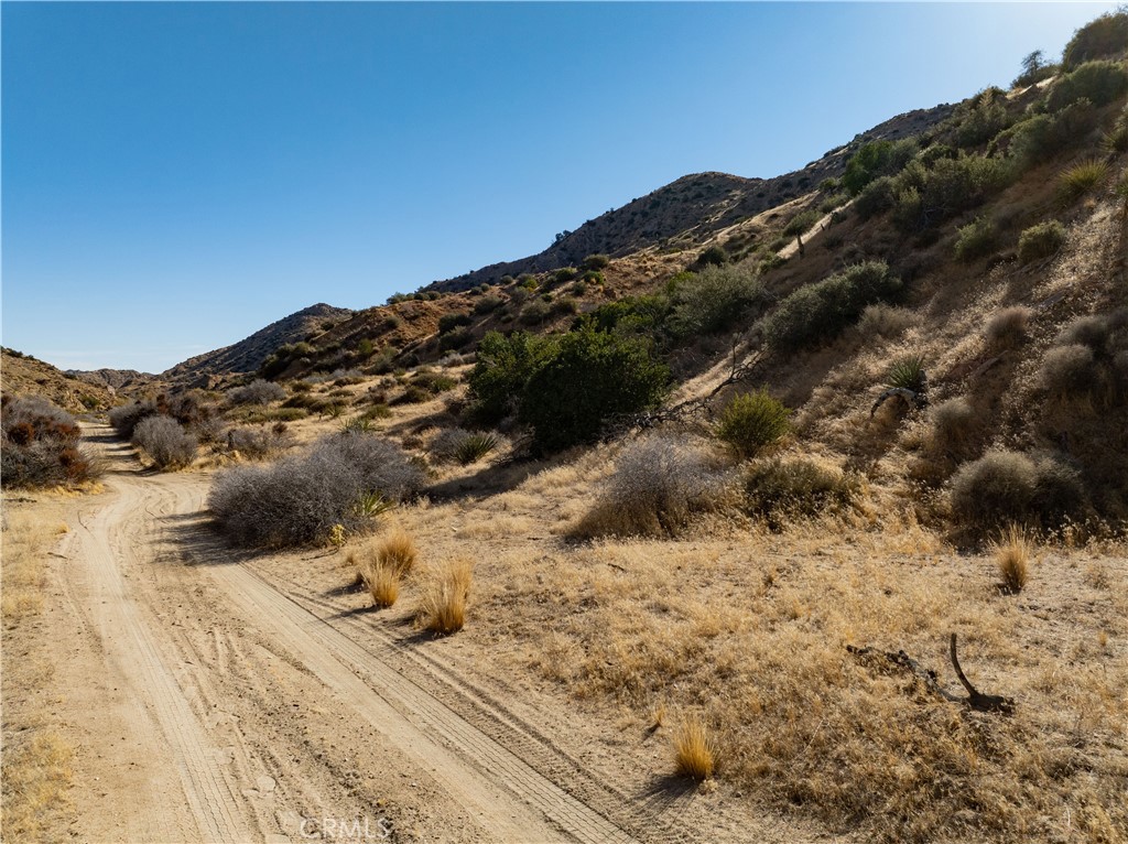 MLS #JT25031182 image #3