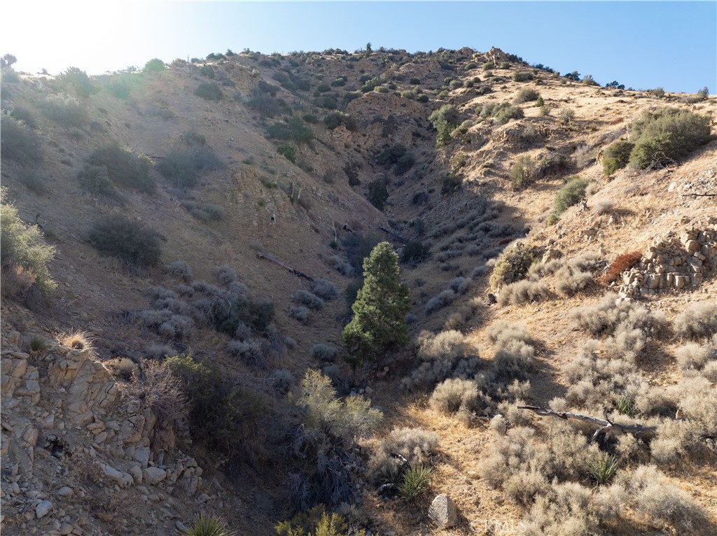 MLS #JT25031182 image #4