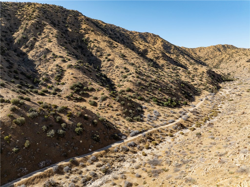 MLS #JT25031182 image #5