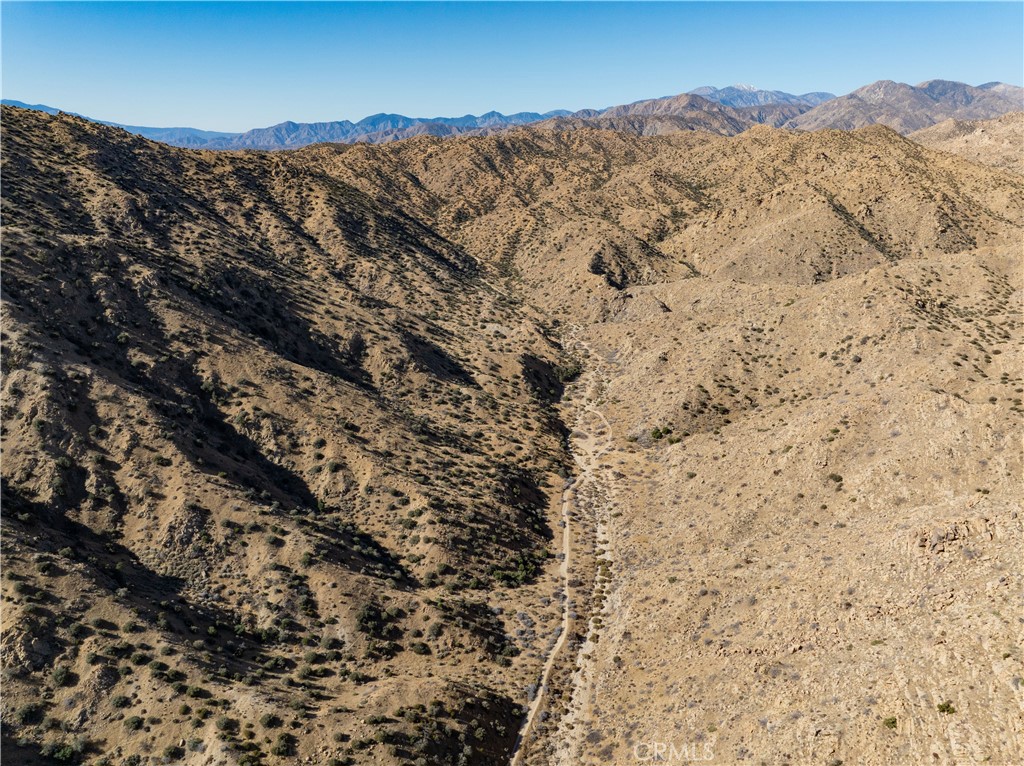 MLS #JT25031182 image #6