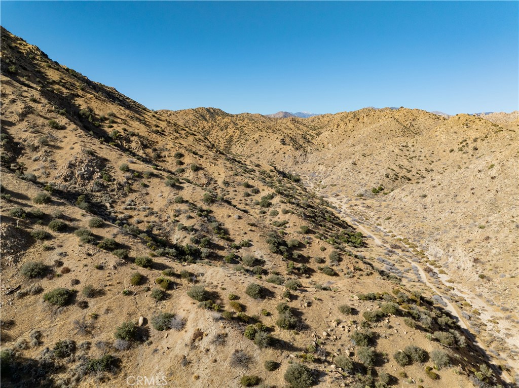 MLS #JT25031182 image #7