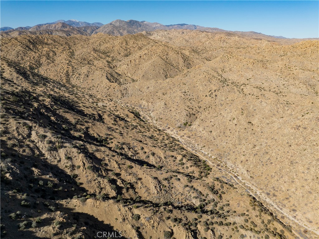 MLS #JT25031182 image #9