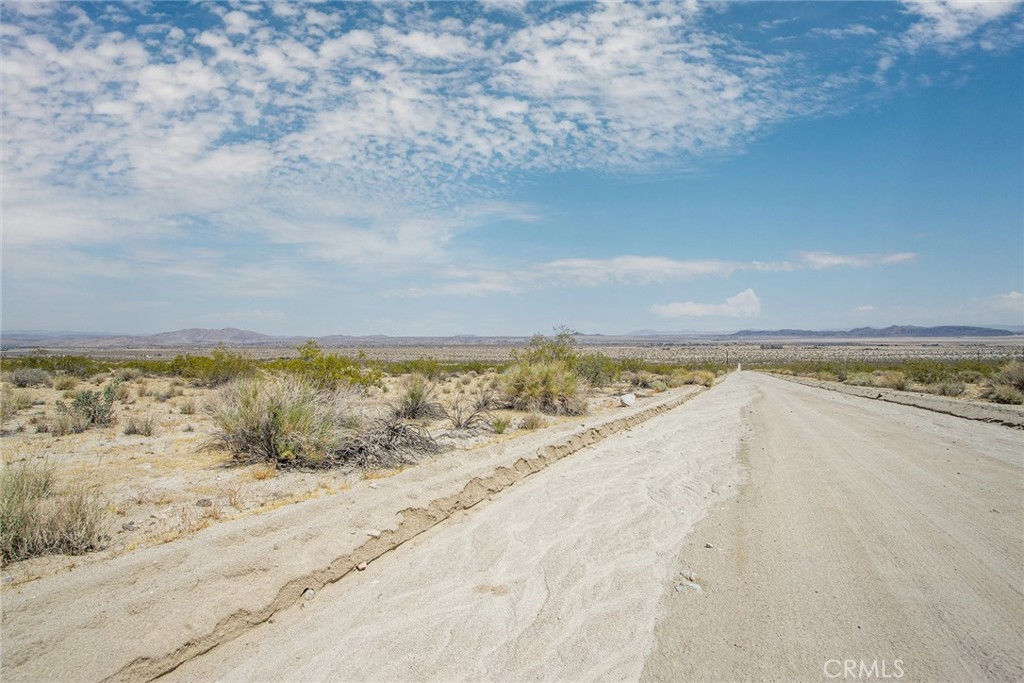 MLS #JT25031974 image #11