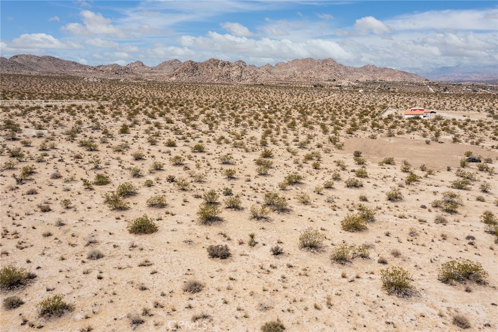 MLS #JT25031974 image #9