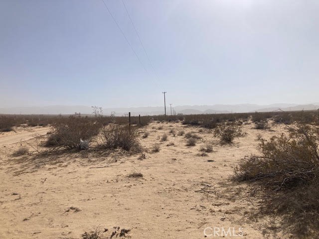 MLS #JT25032075 image #6