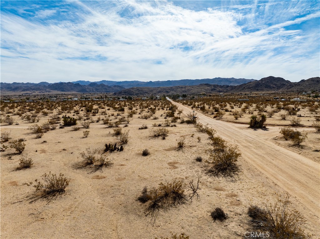 MLS #JT25032111 image #10