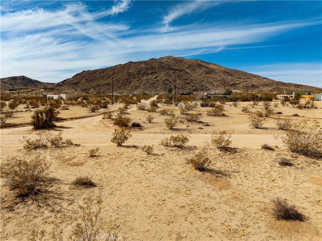 MLS #JT25032111 image #12