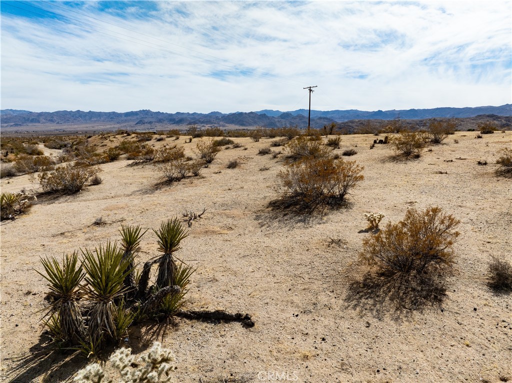 MLS #JT25032111 image #28