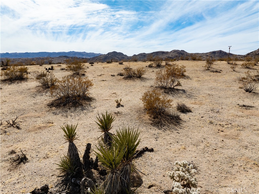 MLS #JT25032111 image #29