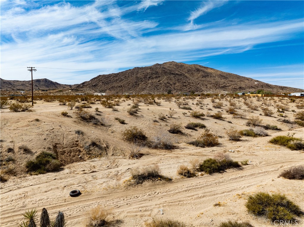 MLS #JT25032111 image #5