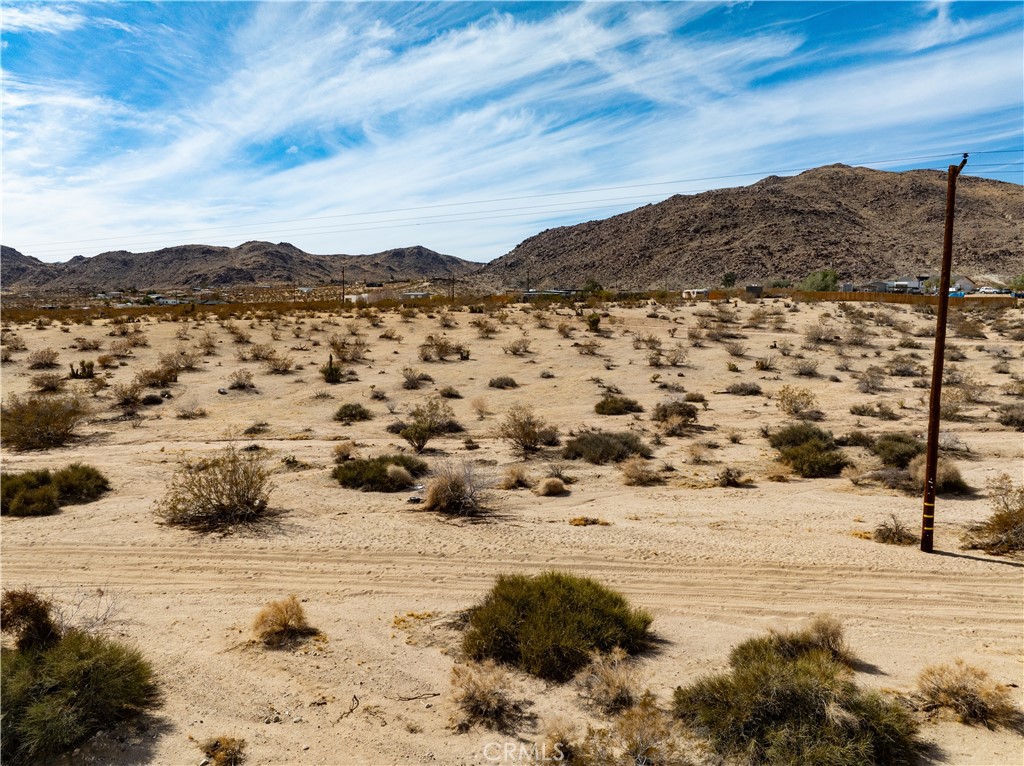 MLS #JT25032111 image #6