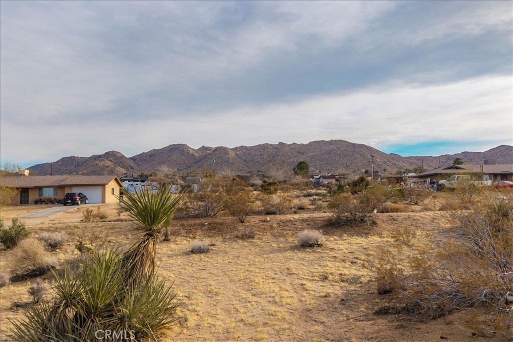 MLS #JT25033282 image #12