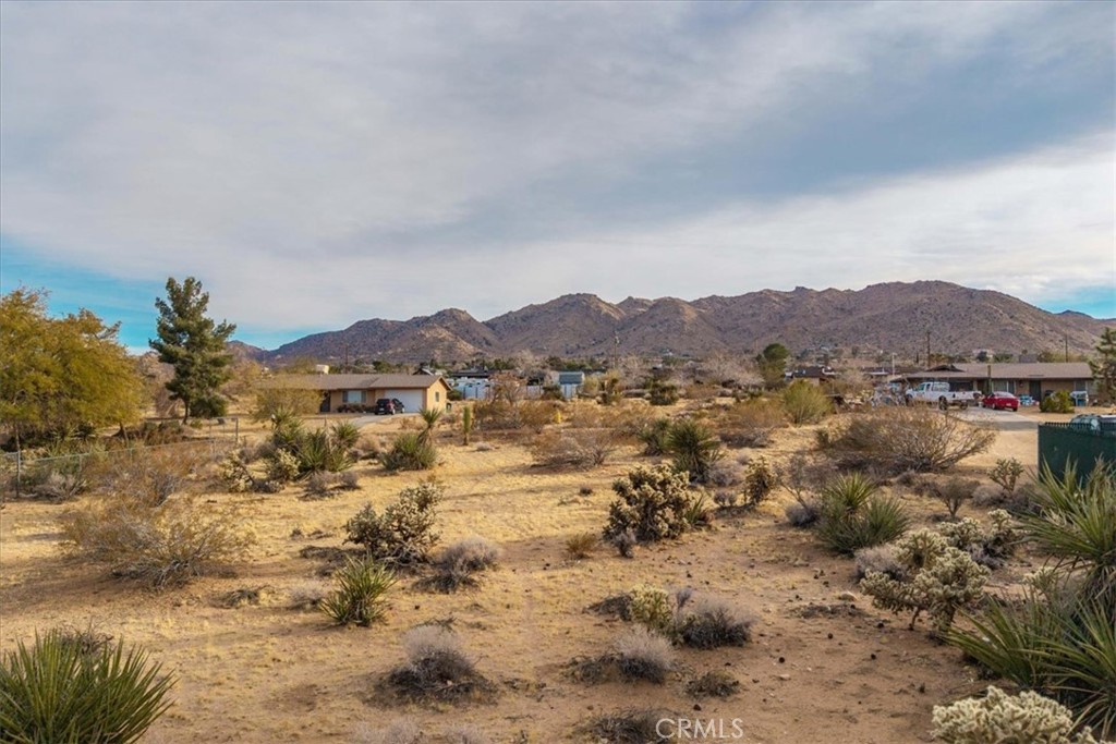 MLS #JT25033282 image #7