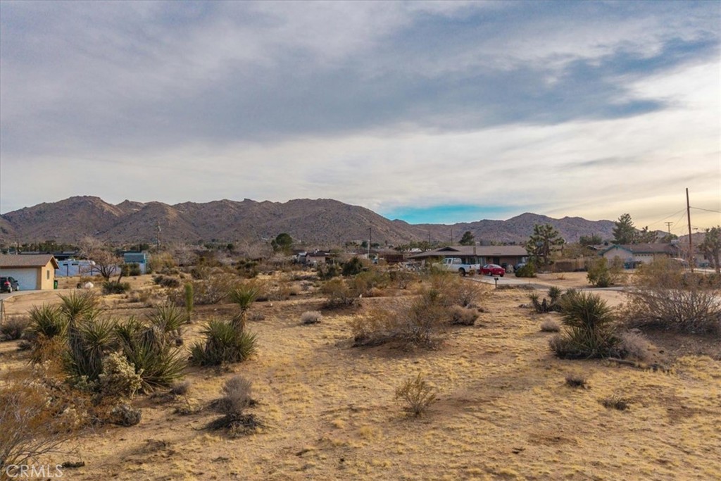 MLS #JT25033282 image #8