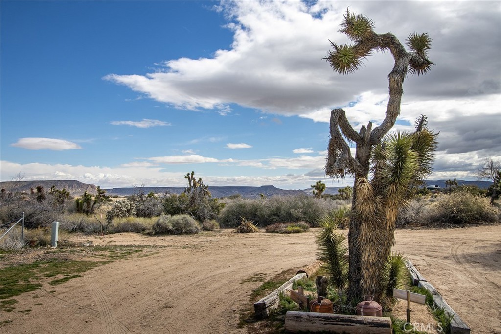 MLS #JT25033473 image #35