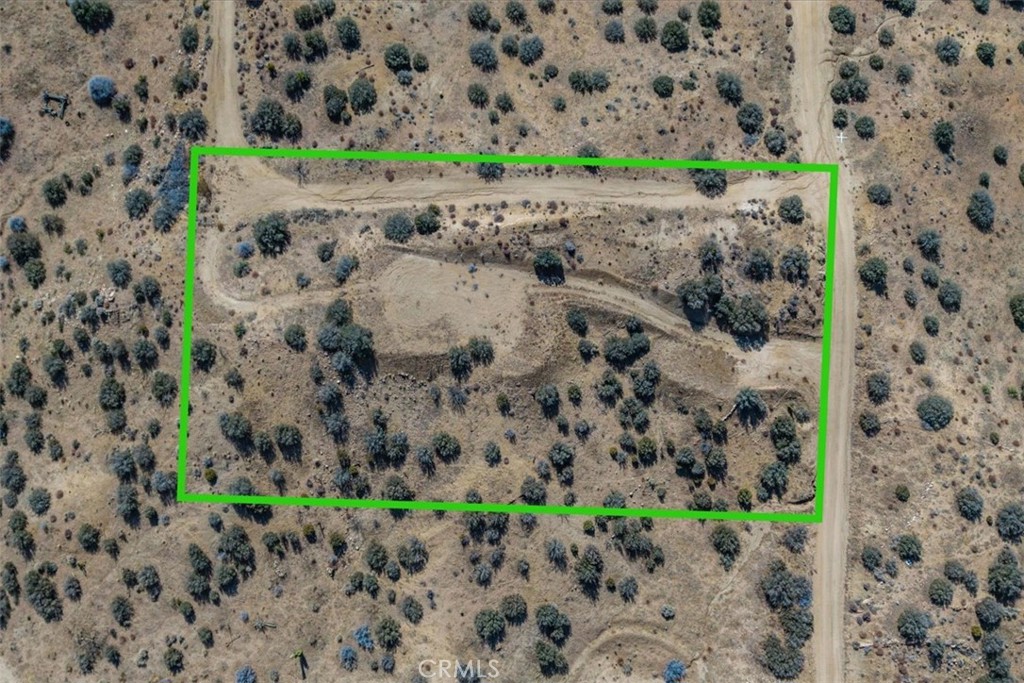 MLS #JT25037157 image #1