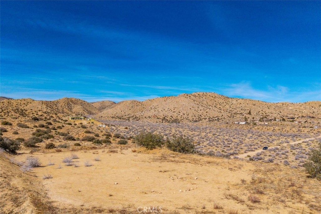 MLS #JT25037157 image #10