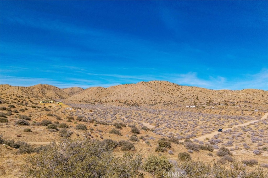 MLS #JT25037157 image #12