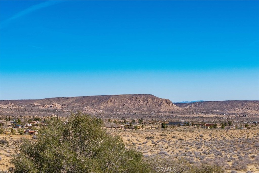 MLS #JT25037157 image #15