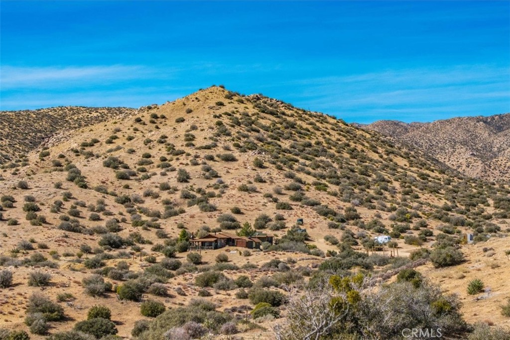 MLS #JT25037157 image #18