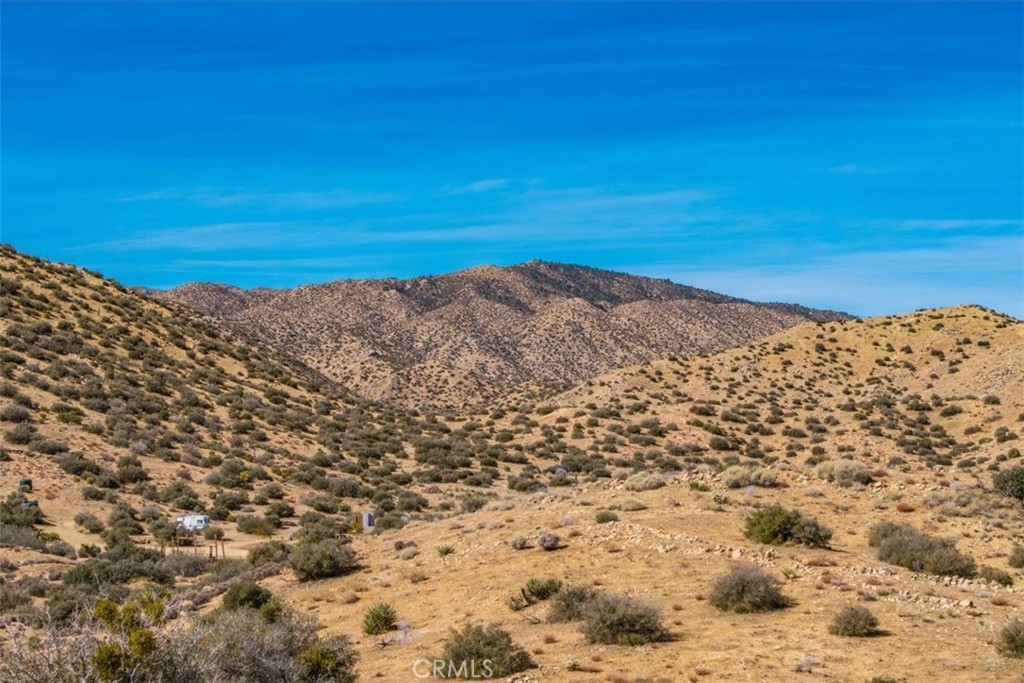 MLS #JT25037157 image #19