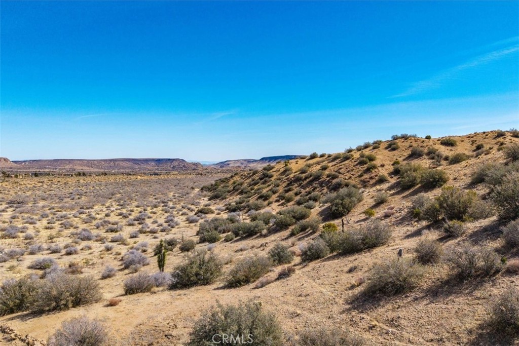 MLS #JT25037157 image #21