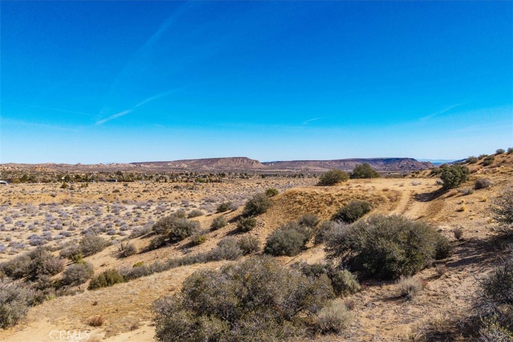 MLS #JT25037157 image #4