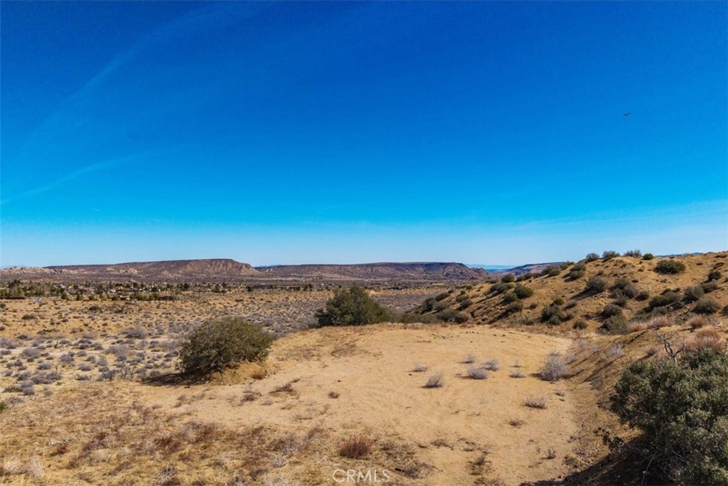 MLS #JT25037157 image #5