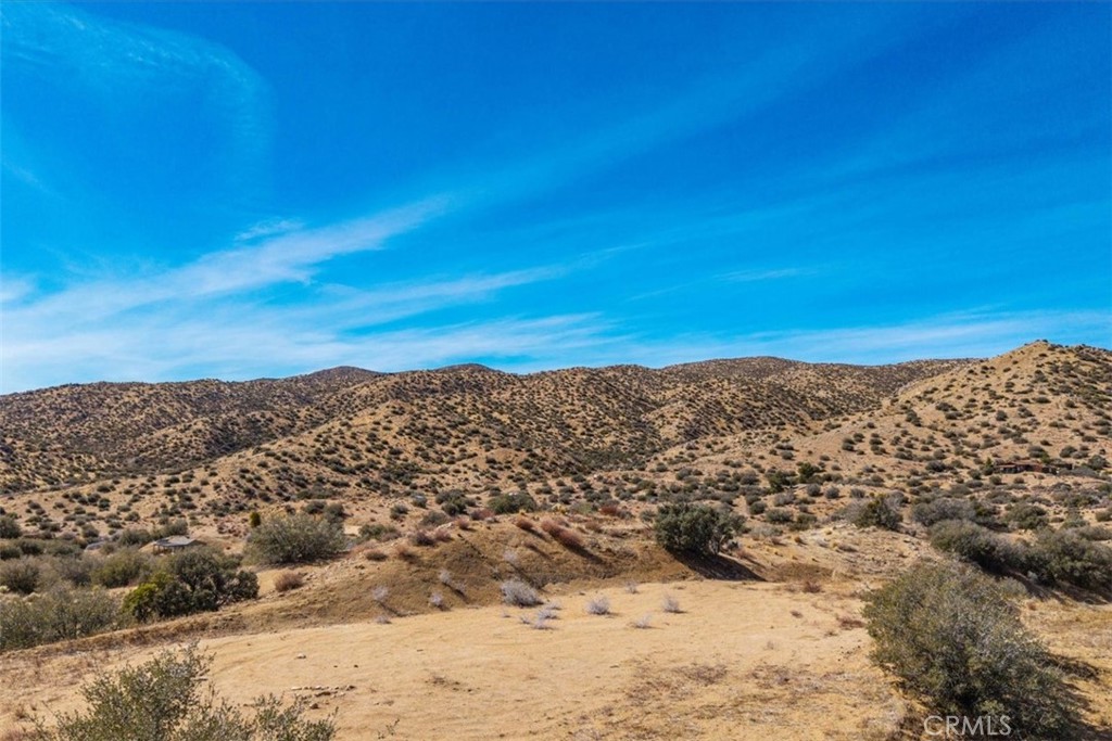 MLS #JT25037157 image #8