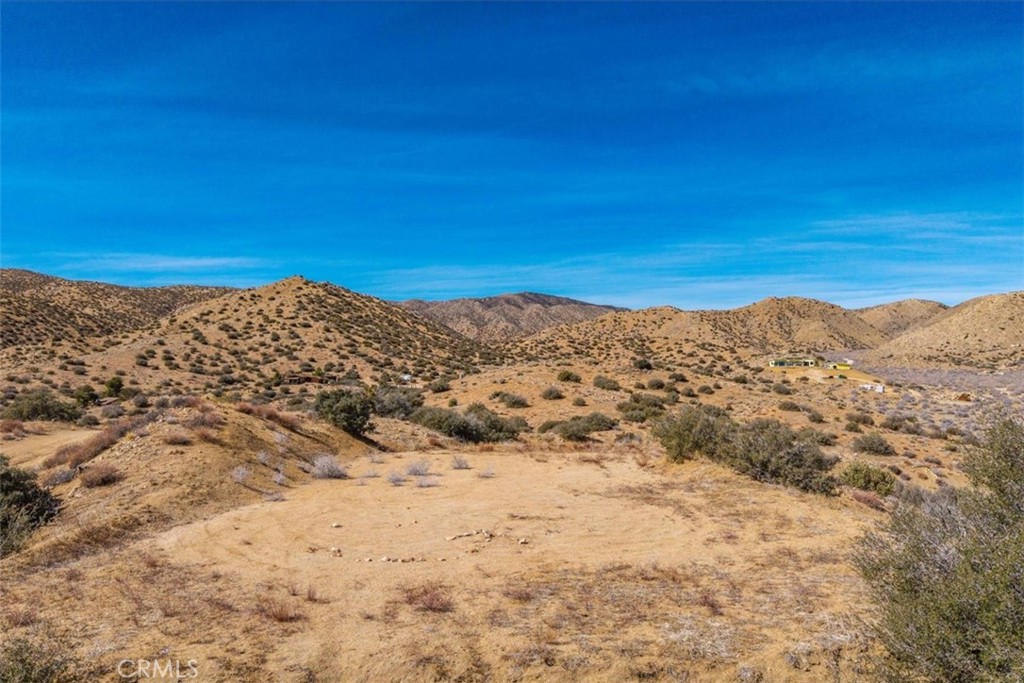 MLS #JT25037157 image #9