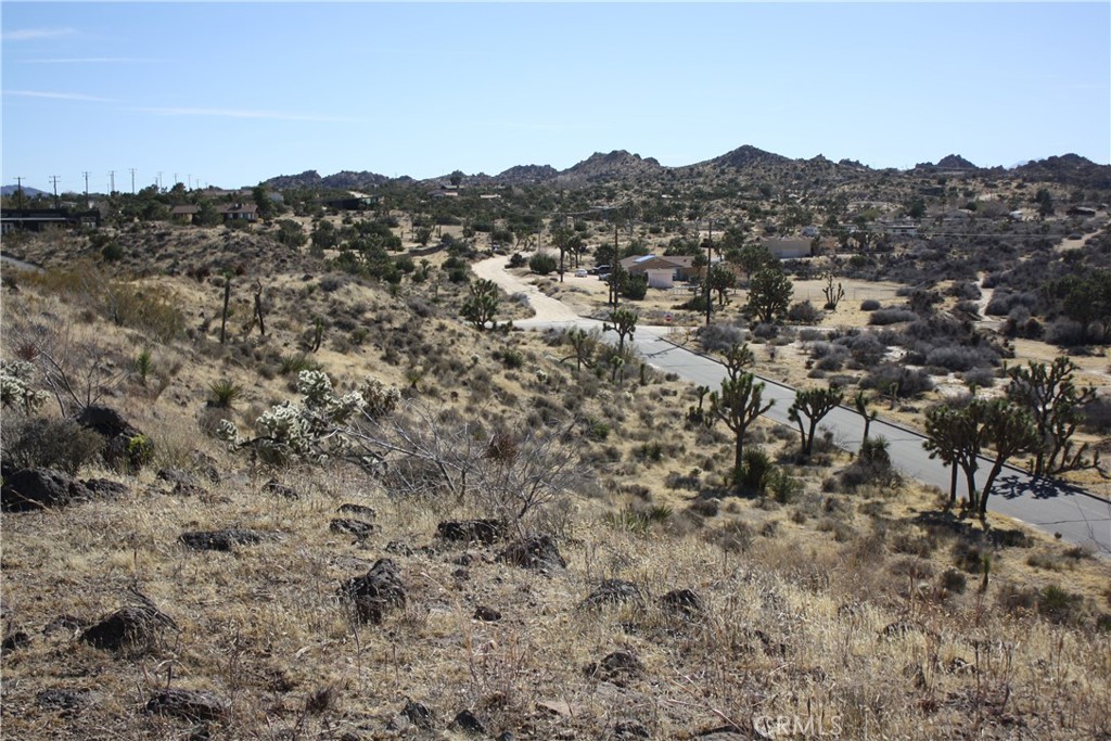 MLS #JT25038167 image #13