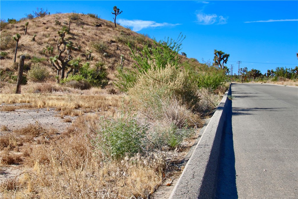 MLS #JT25038167 image #16