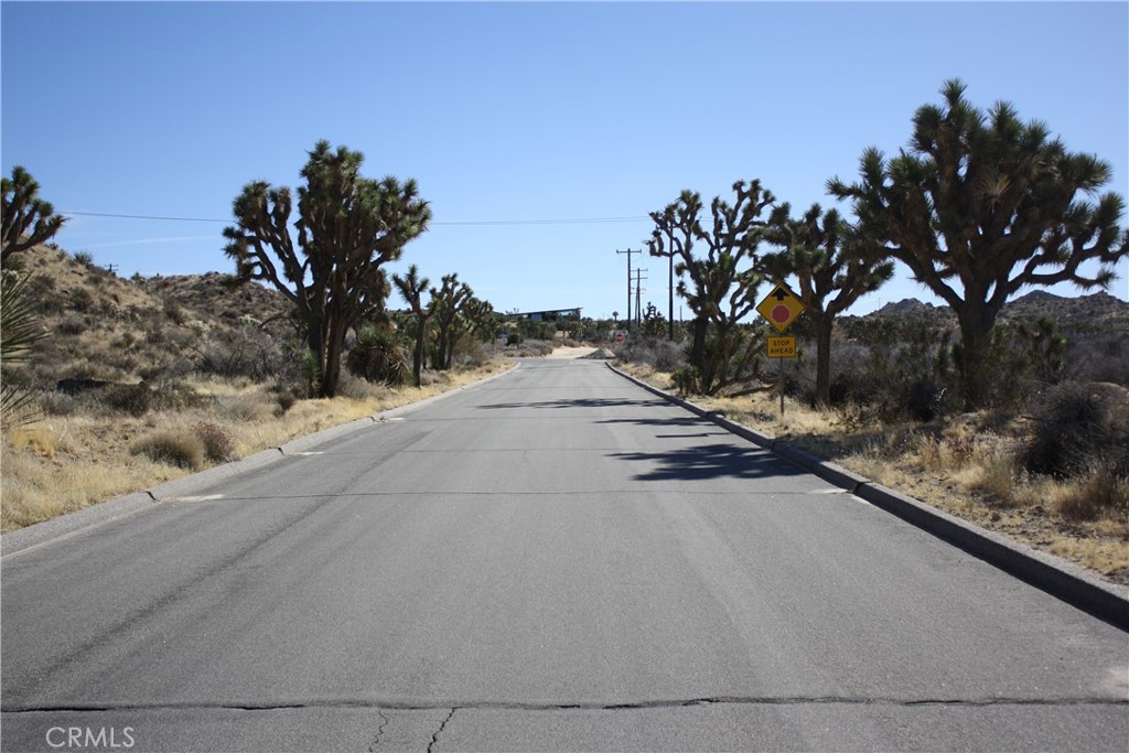 MLS #JT25038167 image #18