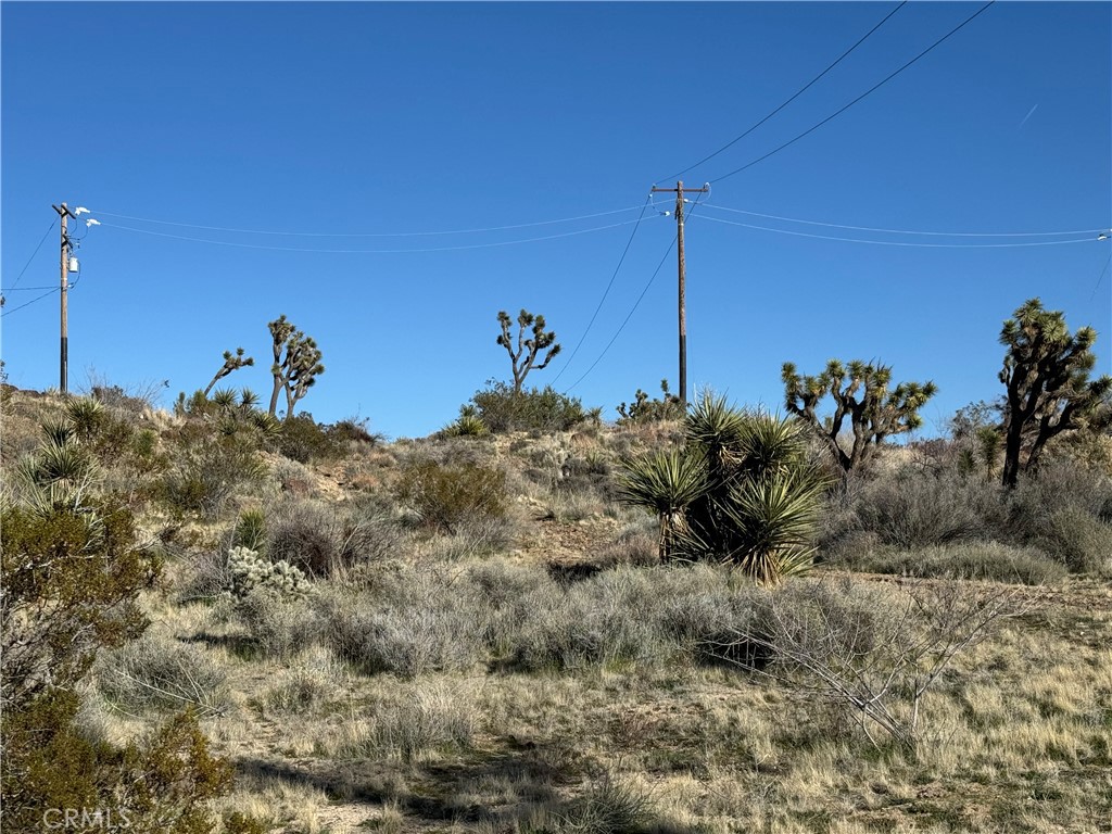 MLS #JT25038167 image #6