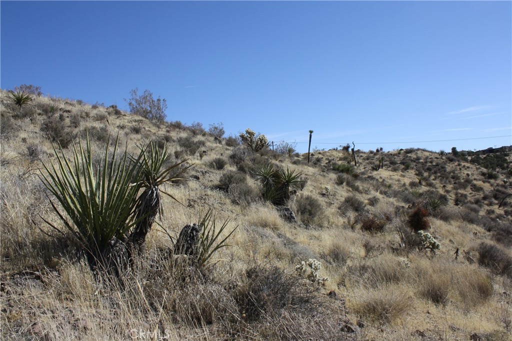 MLS #JT25038167 image #8