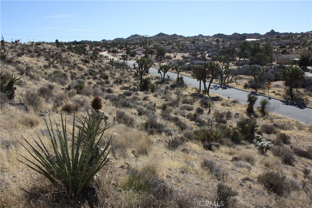 MLS #JT25038167 image #9