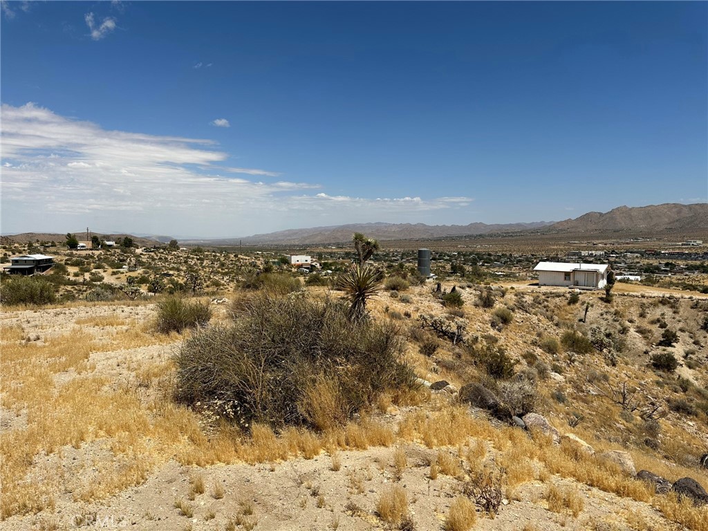 MLS #JT25038264 image #10